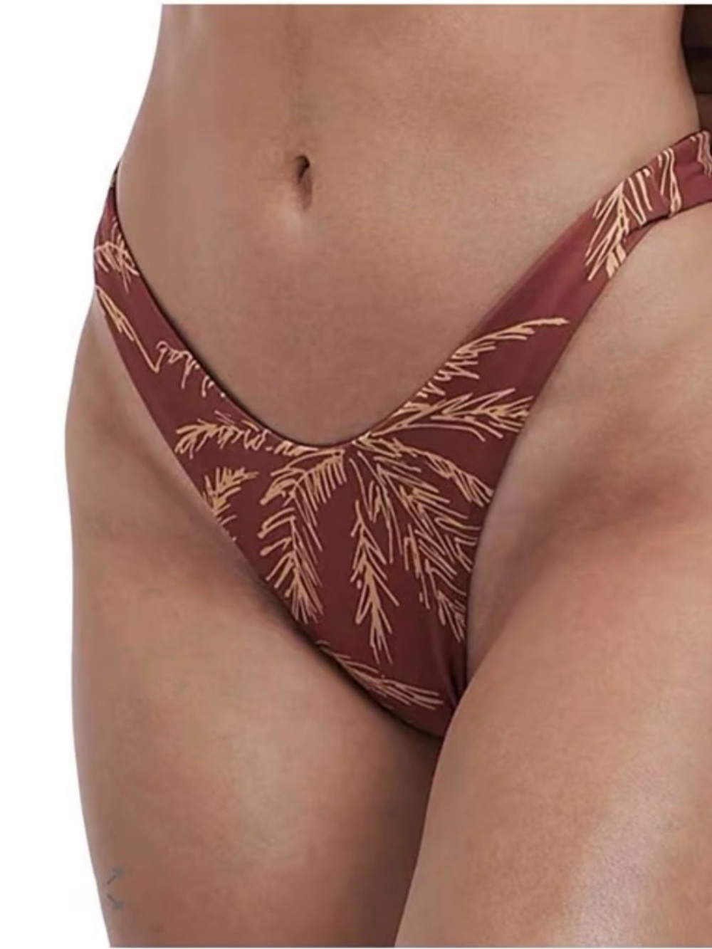 Charlie Holiday Valerie Bikini Bottom M Brown Isle Of Palms Tropical Beach NWT